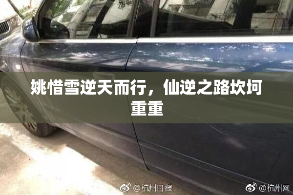 姚惜雪逆天而行，仙逆之路坎坷重重