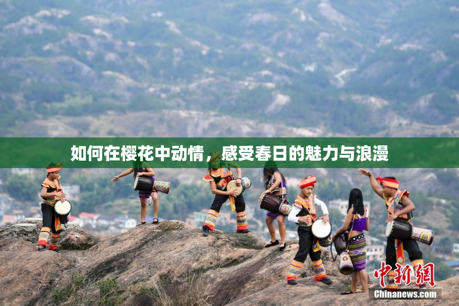 如何在樱花中动情，感受春日的魅力与浪漫