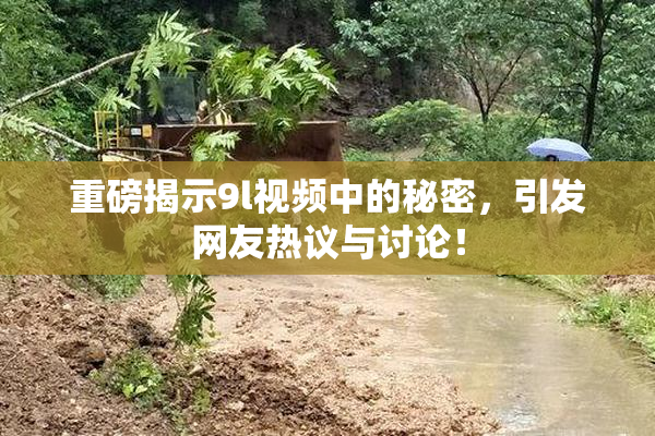 重磅揭示9l视频中的秘密，引发网友热议与讨论！