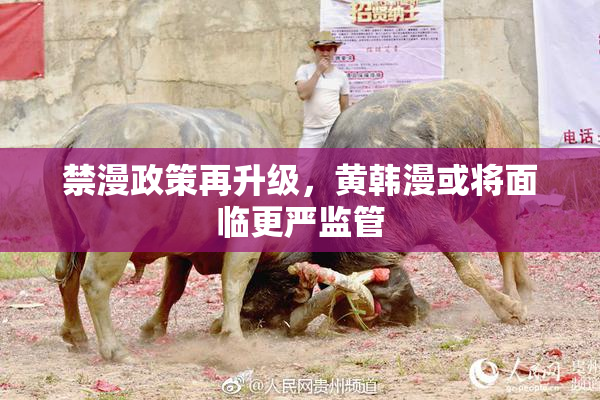 禁漫政策再升级，黄韩漫或将面临更严监管