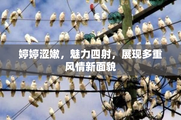 婷婷涩嫩，魅力四射，展现多重风情新面貌