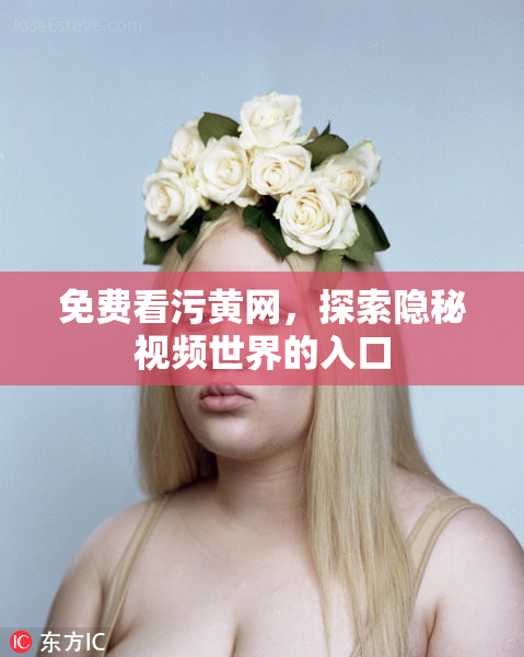 免费看污黄网，探索隐秘视频世界的入口