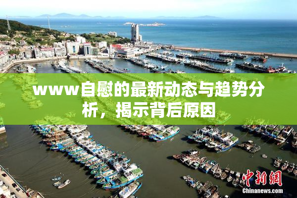 www自慰的最新动态与趋势分析，揭示背后原因