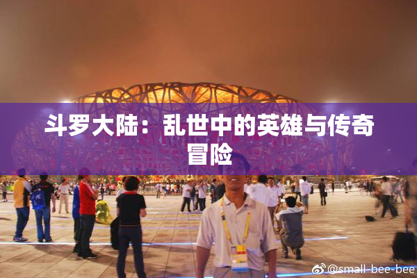 斗罗大陆：乱世中的英雄与传奇冒险