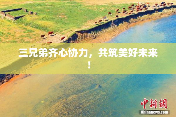三兄弟齐心协力，共筑美好未来！