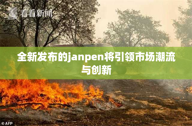 全新发布的janpen将引领市场潮流与创新
