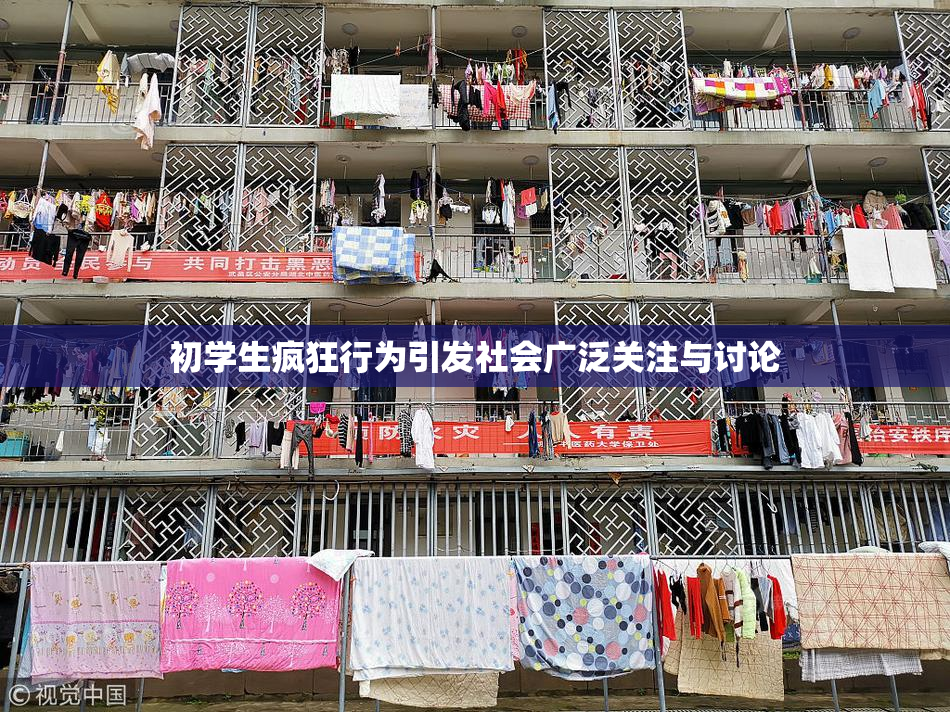 初学生疯狂行为引发社会广泛关注与讨论
