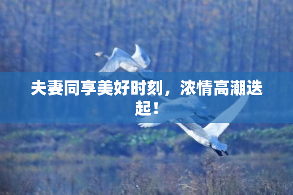 夫妻同享美好时刻，浓情高潮迭起！