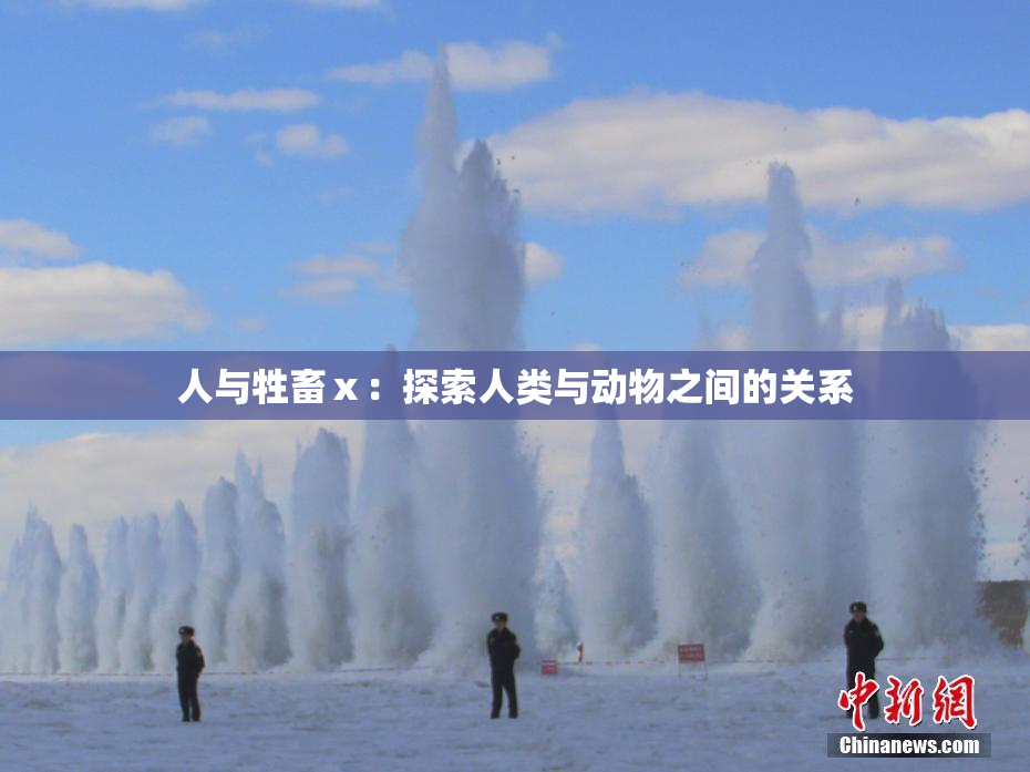 人与牲畜ⅹ：探索人类与动物之间的关系