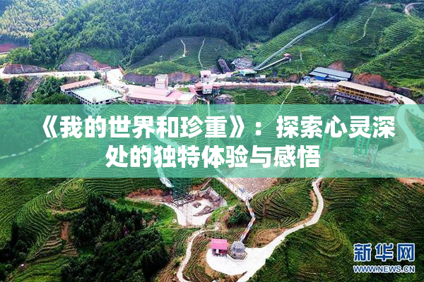 《我的世界和珍重》：探索心灵深处的独特体验与感悟