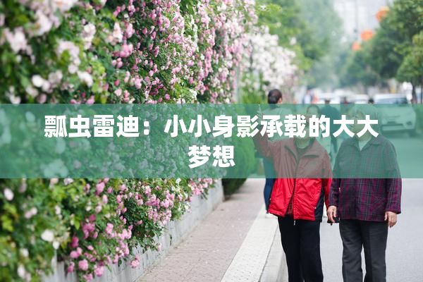 瓢虫雷迪：小小身影承载的大大梦想