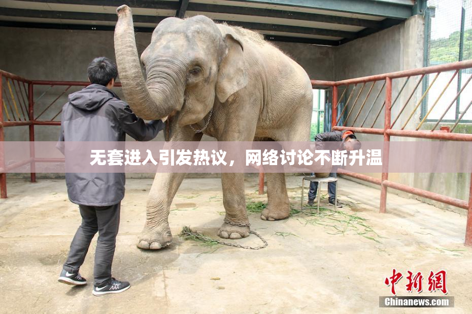 无套进入引发热议，网络讨论不断升温
