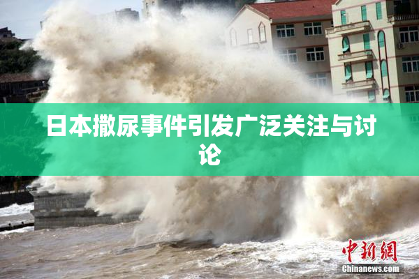 日本撒尿事件引发广泛关注与讨论