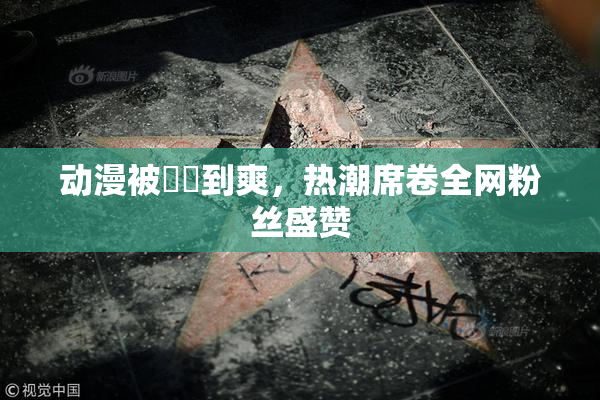 动漫被❌‌到爽，热潮席卷全网粉丝盛赞