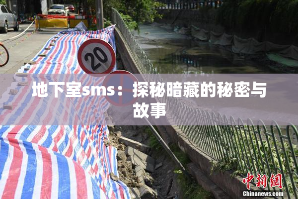 地下室sms：探秘暗藏的秘密与故事