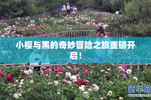 小樱与黑的奇妙冒险之旅重磅开启！