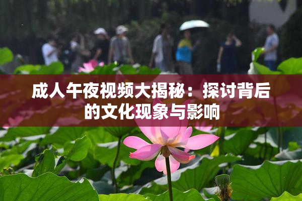 成人午夜视频大揭秘：探讨背后的文化现象与影响