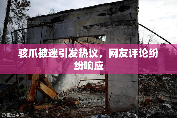 骇爪被迷引发热议，网友评论纷纷响应