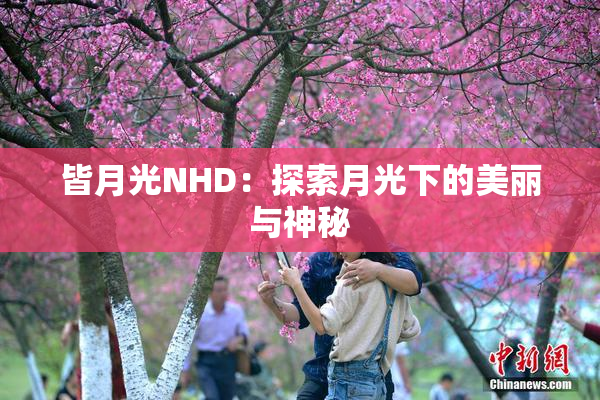 皆月光NHD：探索月光下的美丽与神秘