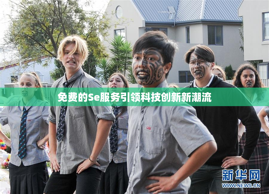 免费的Se服务引领科技创新新潮流
