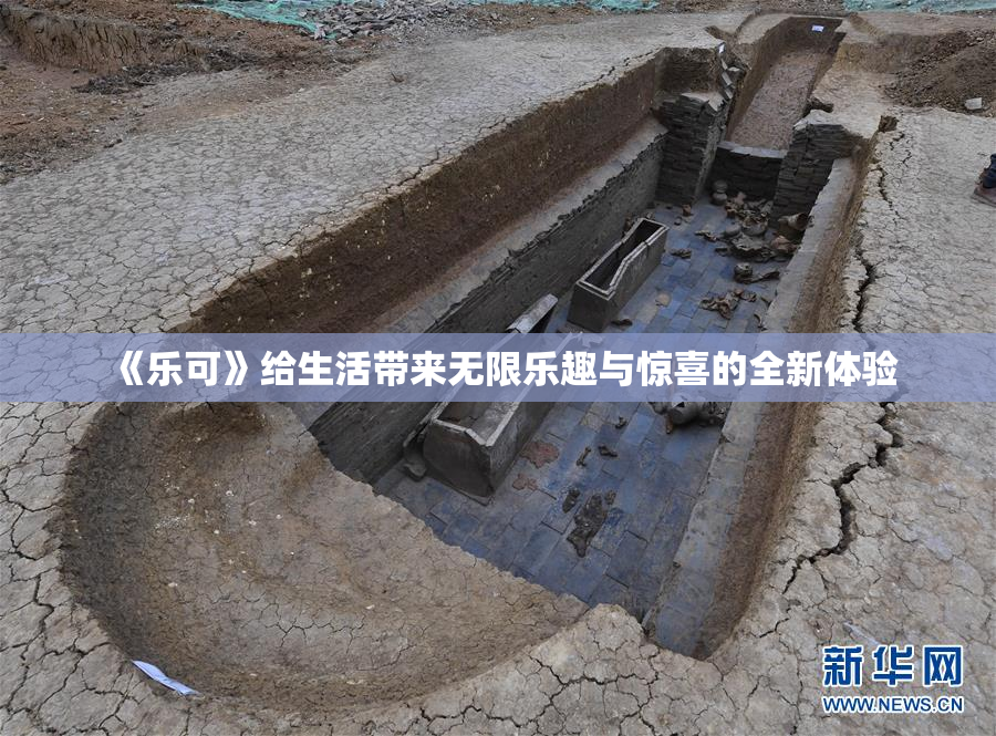 《乐可》给生活带来无限乐趣与惊喜的全新体验