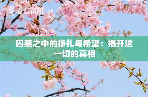 囚禁之中的挣扎与希望：揭开这一切的真相
