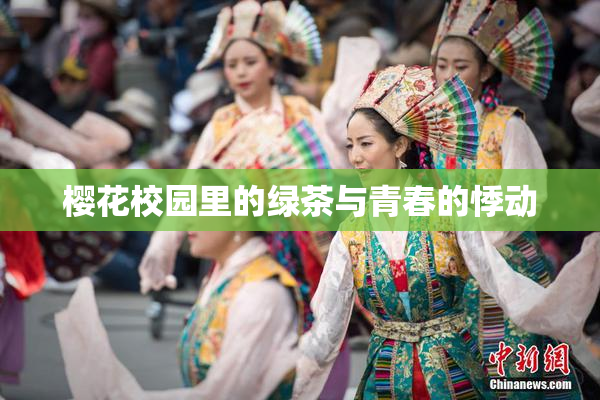 樱花校园里的绿茶与青春的悸动