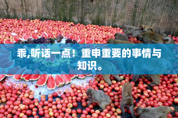 乖,听话一点！重申重要的事情与知识。