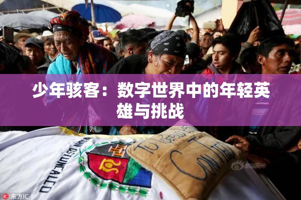 少年骇客：数字世界中的年轻英雄与挑战