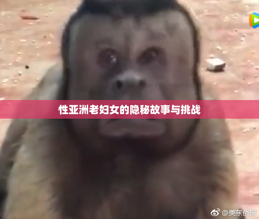 性亚洲老妇女的隐秘故事与挑战