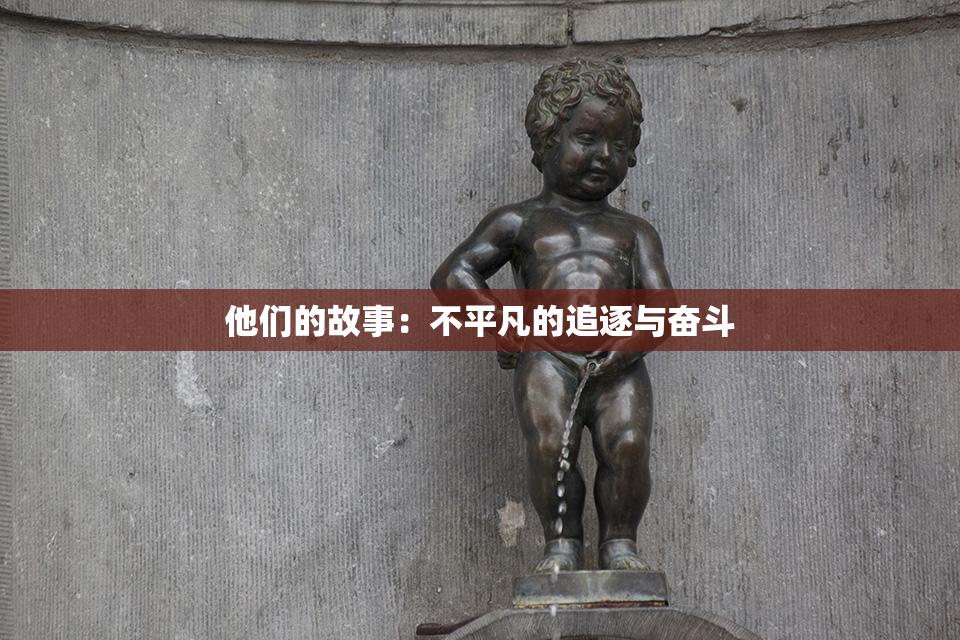他们的故事：不平凡的追逐与奋斗