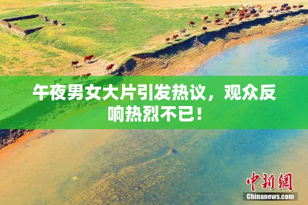 午夜男女大片引发热议，观众反响热烈不已！