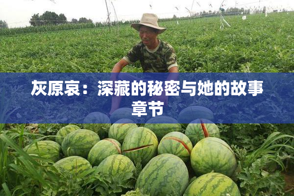 灰原哀：深藏的秘密与她的故事章节