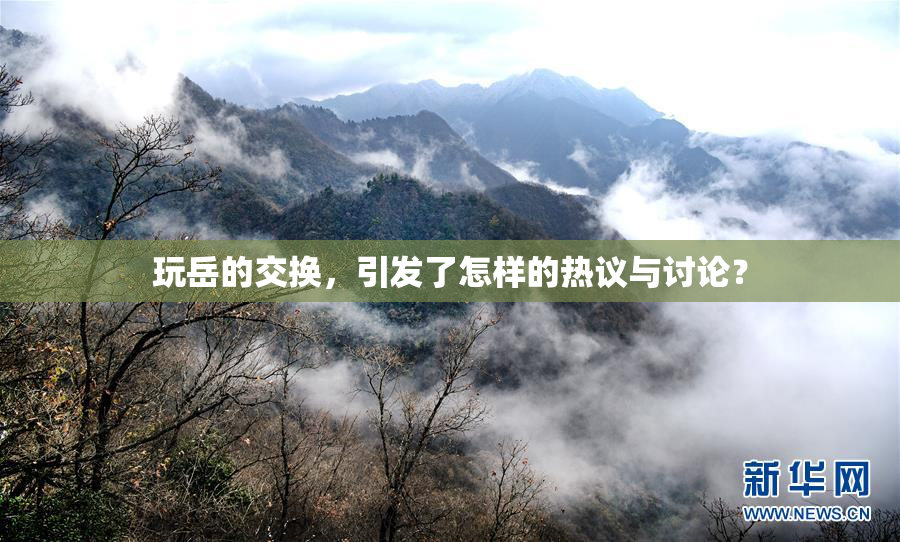 玩岳的交换，引发了怎样的热议与讨论？