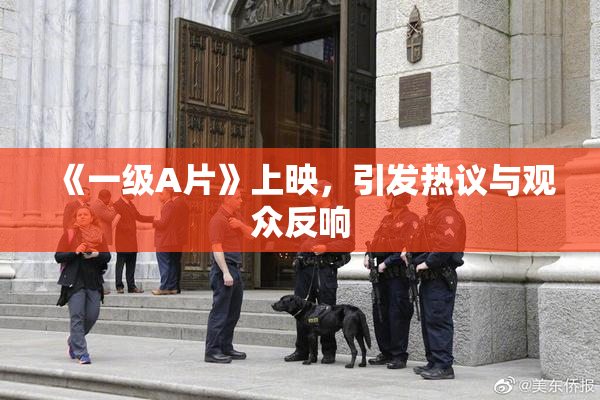 《一级A片》上映，引发热议与观众反响