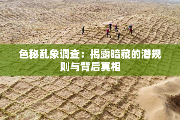 色秘乱象调查：揭露暗藏的潜规则与背后真相
