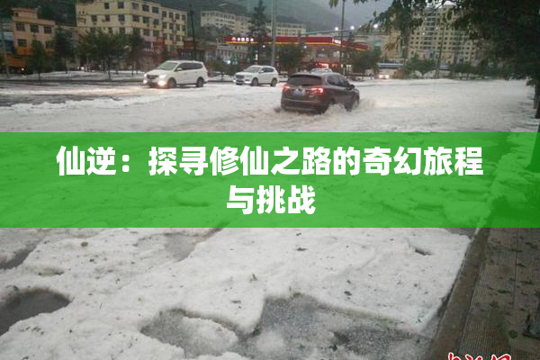仙逆：探寻修仙之路的奇幻旅程与挑战