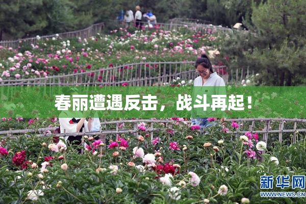 春丽遭遇反击，战斗再起！