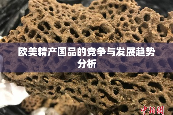 欧美精产国品的竞争与发展趋势分析