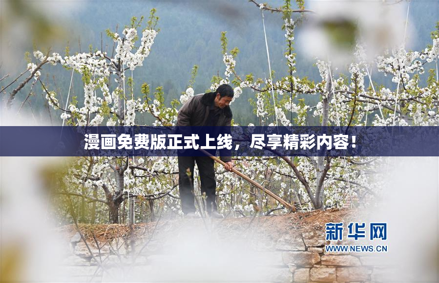 漫画免费版正式上线，尽享精彩内容！