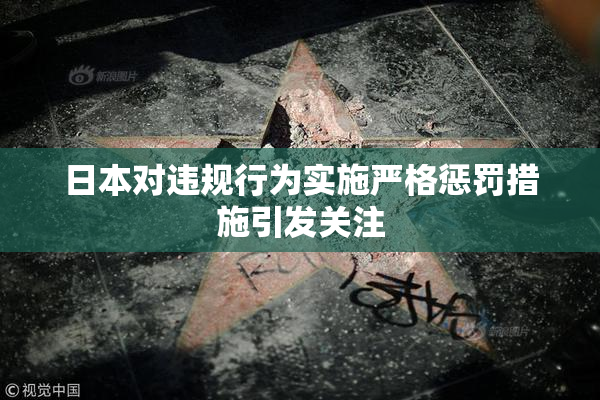 日本对违规行为实施严格惩罚措施引发关注