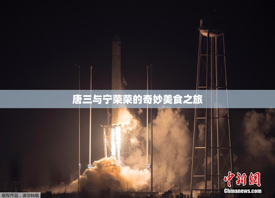 唐三与宁荣荣的奇妙美食之旅