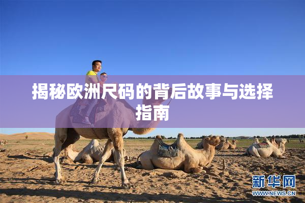 揭秘欧洲尺码的背后故事与选择指南