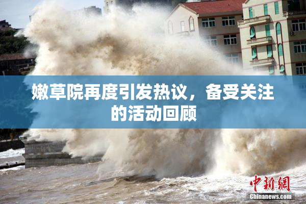 嫩草院再度引发热议，备受关注的活动回顾