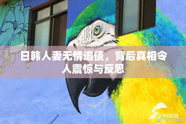 日韩人妻无情追债，背后真相令人震惊与反思