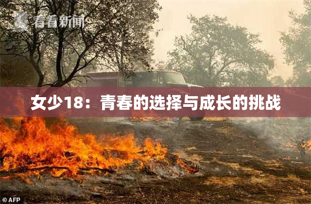 女少18：青春的选择与成长的挑战