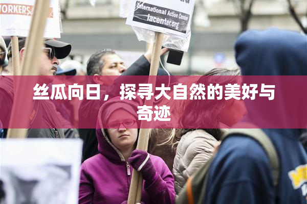 丝瓜向日，探寻大自然的美好与奇迹