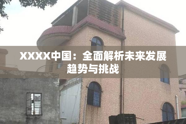 XXXX中国：全面解析未来发展趋势与挑战