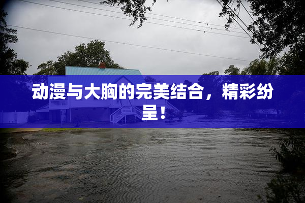 动漫与大胸的完美结合，精彩纷呈！