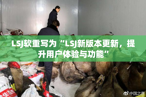 LSJ软重写为“LSJ新版本更新，提升用户体验与功能”